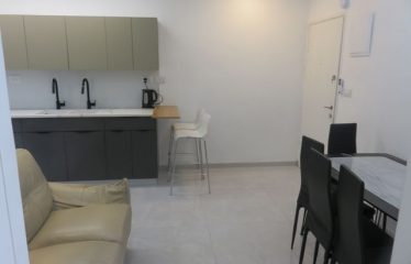 A new apartment in Jerusalem in Geula for Passover