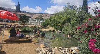 Vacation accommodation in a private house with a large yard in the center of Kiryat Shmona