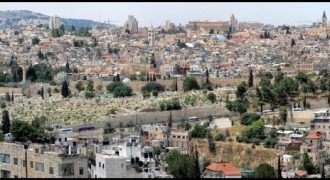 Jerusalem: Apartment in prime location